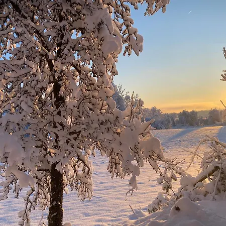 Cara's House Lägenhet *