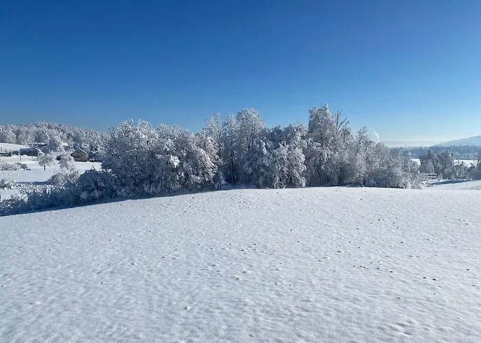 Cara's House Lägenhet