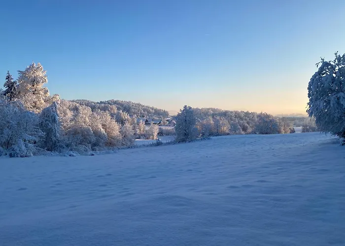 Cara's House * Liubliana