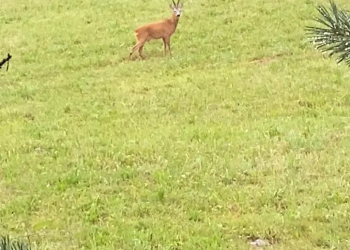 Apartamento Cara's House *